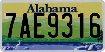 AL license plate 7AE9316