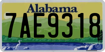 AL license plate 7AE9318