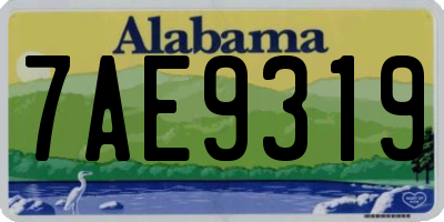 AL license plate 7AE9319