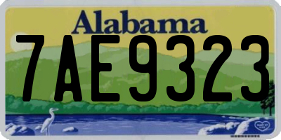 AL license plate 7AE9323