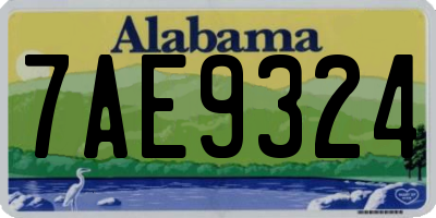 AL license plate 7AE9324