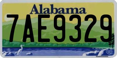 AL license plate 7AE9329