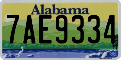 AL license plate 7AE9334