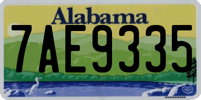 AL license plate 7AE9335