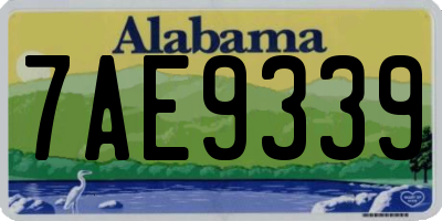 AL license plate 7AE9339