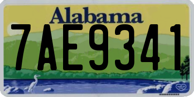 AL license plate 7AE9341