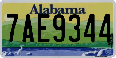 AL license plate 7AE9344