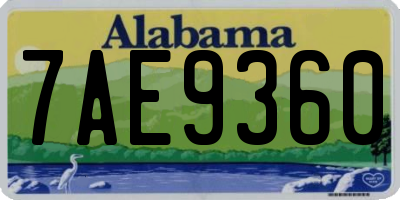 AL license plate 7AE9360