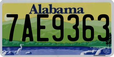 AL license plate 7AE9363