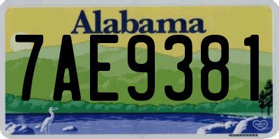 AL license plate 7AE9381