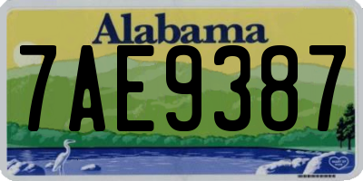 AL license plate 7AE9387