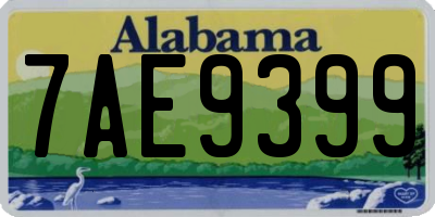AL license plate 7AE9399