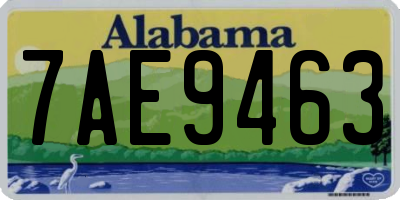 AL license plate 7AE9463