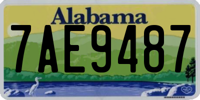 AL license plate 7AE9487