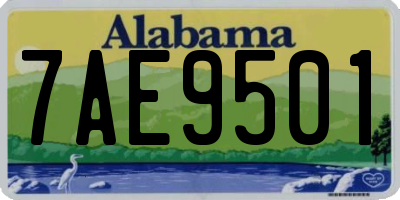 AL license plate 7AE9501