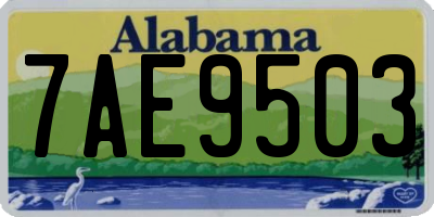 AL license plate 7AE9503
