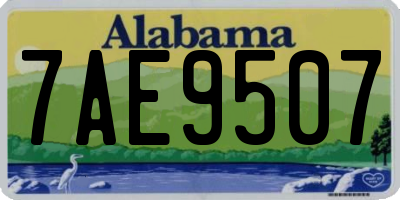 AL license plate 7AE9507