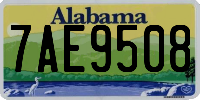 AL license plate 7AE9508
