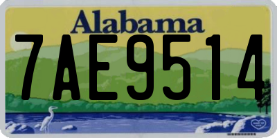 AL license plate 7AE9514