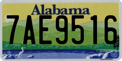 AL license plate 7AE9516
