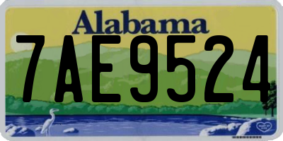 AL license plate 7AE9524