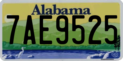 AL license plate 7AE9525