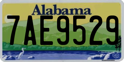 AL license plate 7AE9529