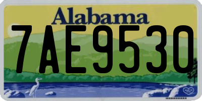 AL license plate 7AE9530
