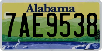 AL license plate 7AE9538