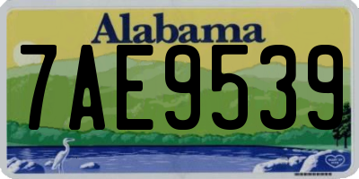 AL license plate 7AE9539