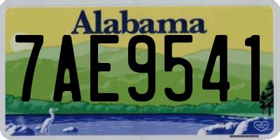 AL license plate 7AE9541