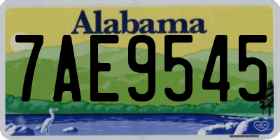 AL license plate 7AE9545