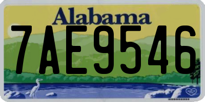 AL license plate 7AE9546