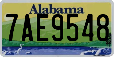 AL license plate 7AE9548