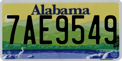 AL license plate 7AE9549