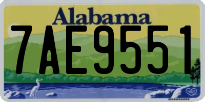 AL license plate 7AE9551