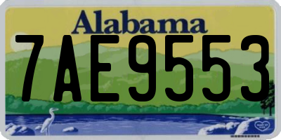 AL license plate 7AE9553