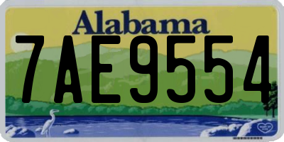 AL license plate 7AE9554
