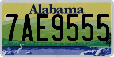 AL license plate 7AE9555