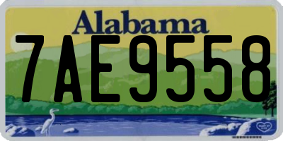 AL license plate 7AE9558