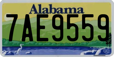 AL license plate 7AE9559