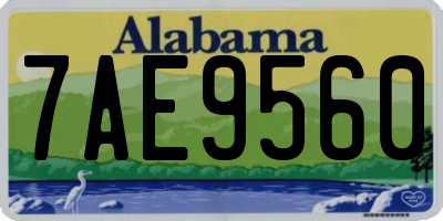 AL license plate 7AE9560