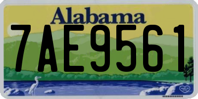 AL license plate 7AE9561