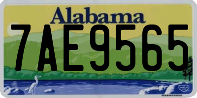 AL license plate 7AE9565
