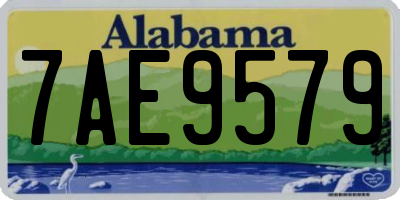 AL license plate 7AE9579