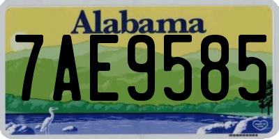 AL license plate 7AE9585