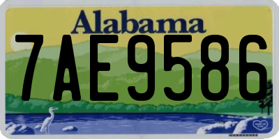 AL license plate 7AE9586