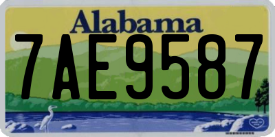AL license plate 7AE9587