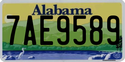 AL license plate 7AE9589