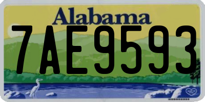 AL license plate 7AE9593